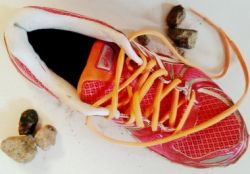 Wandelen met een steentje…